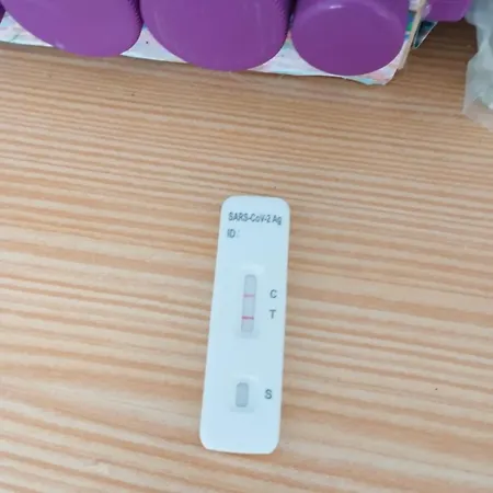 Casa Dos Avos * Estorninhos